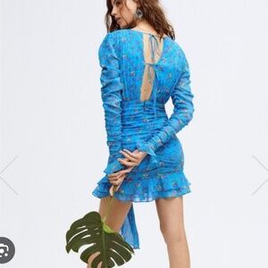 For Love and Lemons Dress